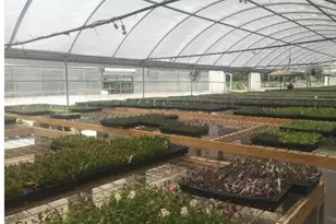 7193 Old Talley Rd Trlr 7 Rd, San Antonio, TX 78253 - Photo 8