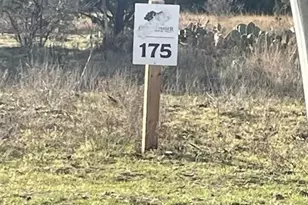 Lot 175 Heartleaf Dr, Lampasas, TX 76550 - Photo 2