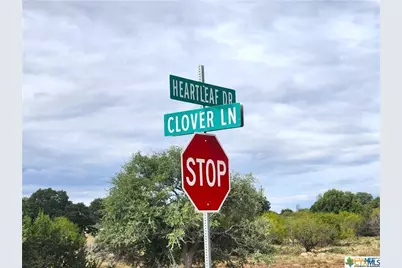 Lot 175 Heartleaf Drive, Lampasas, TX 76550 - Photo 4