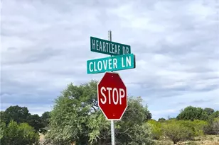 Lot 175 Heartleaf Dr, Lampasas, TX 76550 - Photo 4