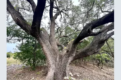 1096 Creek Crossing Road, Nemo, TX 76070 - Photo 14