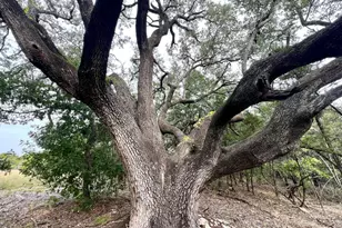 1096 Creek Crossing Rd, Nemo, TX 76070 - Photo 14