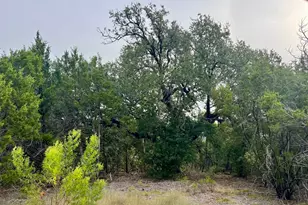 1096 Creek Crossing Rd, Nemo, TX 76070 - Photo 12