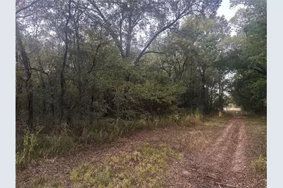 Tbd County Road 1180, Cooper, TX 75432 - Photo 4