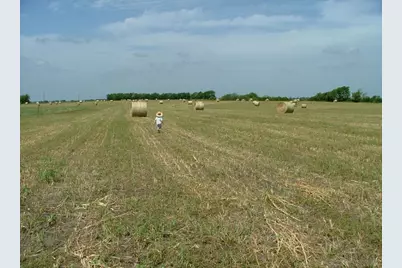 000 Mirage Drive, Nevada, TX 75173 - Photo 2