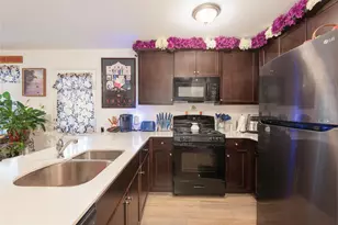 3217 Mountain Lion Ave, McKinney, TX 75071 - Photo 10