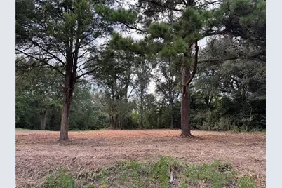 0 Frizzell Street, Athens, TX 75751 - Photo 4