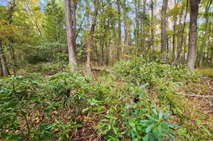 Lot 283 Eland Trail, LaRue, TX 75770 - Photo 24