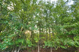 Lot 283 Eland Trail, LaRue, TX 75770 - Photo 10