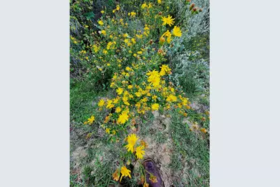 Lot 283 Eland Trail, LaRue, TX 75770 - Photo 8