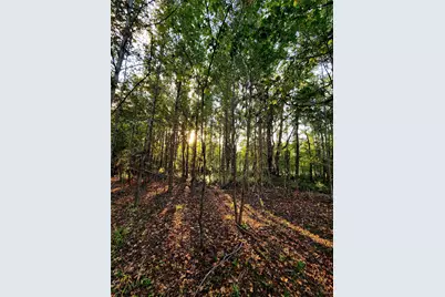 Lot 283 Eland Trail, LaRue, TX 75770 - Photo 12