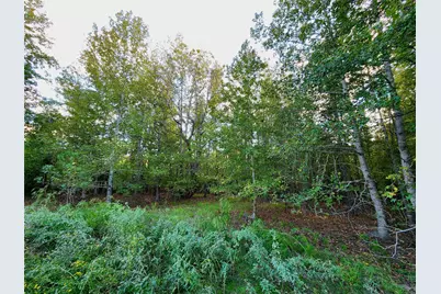 Lot 283 Eland Trail, LaRue, TX 75770 - Photo 6