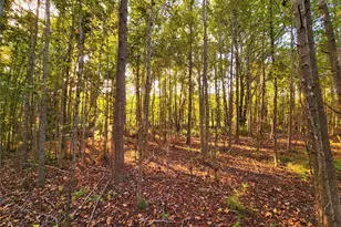 Lot 283 Eland Trail, LaRue, TX 75770 - Photo 16