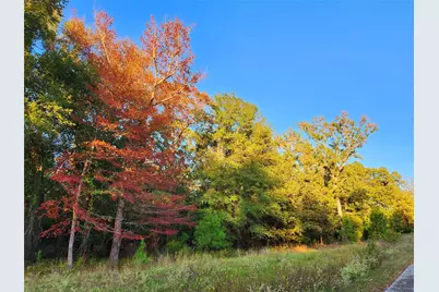 Lot 283 Eland Trail, LaRue, TX 75770 - Photo 34