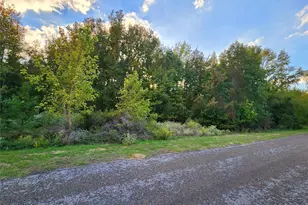 Lot 283 Eland Trail, LaRue, TX 75770 - Photo 2