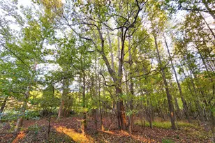 Lot 283 Eland Trail, LaRue, TX 75770 - Photo 14