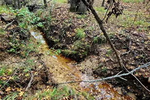 Lot 283 Eland Trail, LaRue, TX 75770 - Photo 18