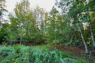Lot 283 Eland Trail, LaRue, TX 75770 - Photo 6