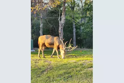 Lot 283 Eland Trail, LaRue, TX 75770 - Photo 32