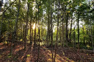 Lot 283 Eland Trail, LaRue, TX 75770 - Photo 12