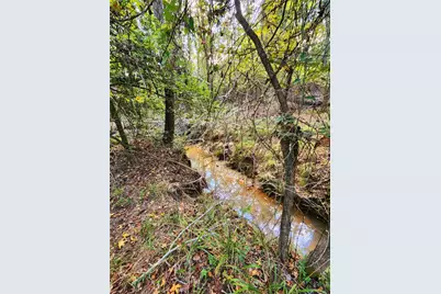 Lot 283 Eland Trail, LaRue, TX 75770 - Photo 20