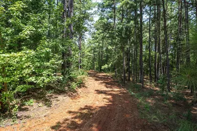 Tract 1 County Road 4102, Jacksonville, TX 75766 - Photo 4