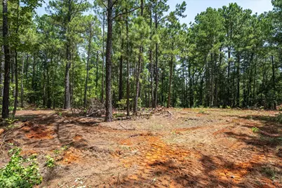 Tract 1 County Road 4102, Jacksonville, TX 75766 - Photo 6