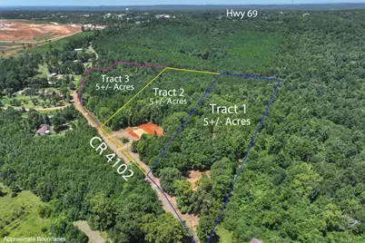 Tract 2 County Road 4102, Jacksonville, TX 75766 - Photo 22