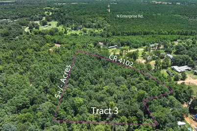 Tract 3 County Road 4102, Jacksonville, TX 75766 - Photo 2