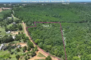 Tract 3 County Road 4102, Jacksonville, TX 75766 - Photo 1