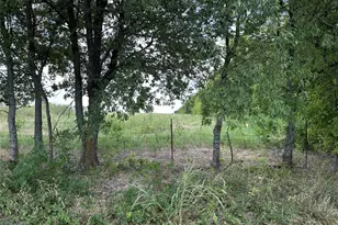 Lot 1 Rutledge Rd, Whitewright, TX 75491 - Photo 1