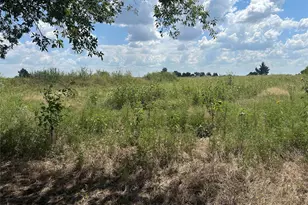 Lot 2 Rutledge Rd, Whitewright, TX 75491 - Photo 1