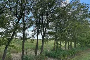 Lot 3 Rutledge Rd, Whitewright, TX 75491 - Photo 1