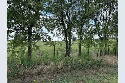 Lot 5 Rutledge Road, Whitewright, TX 75491 - Photo 8