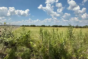 Lot 9 Eastline Rd, Whitewright, TX 75491 - Photo 1
