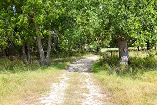 122 and 130 Private Road 2164, Iredell, TX 76649 - Photo 1