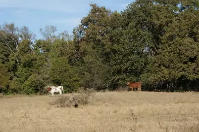 13733 County Road 109, Kaufman, TX 75142 - Photo 36
