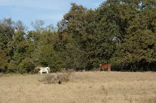 13733 Co Rd 109, Kaufman, TX 75142 - Photo 36