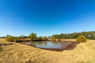 13733 Co Rd 109, Kaufman, TX 75142 - Photo 40