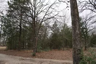 10530 Private Rd 5207, Malakoff, TX 75148 - Photo 16