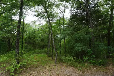 10530 Private Road 5207, Malakoff, TX 75148 - Photo 10