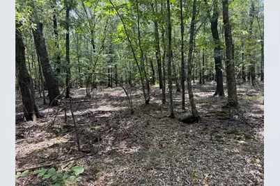 7354 Farm Road 412, Clarksville, TX 75426 - Photo 26