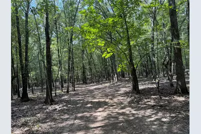 7354 Farm Road 412, Clarksville, TX 75426 - Photo 30