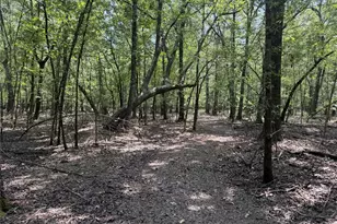 7354 Farm Road 412, Clarksville, TX 75426 - Photo 32