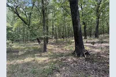 7354 Farm Road 412, Clarksville, TX 75426 - Photo 34