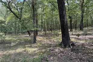 7354 Farm Road 412, Clarksville, TX 75426 - Photo 34