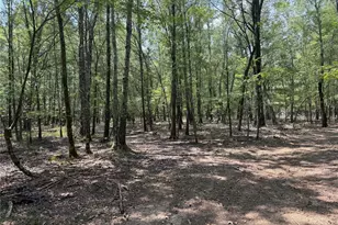 7354 Farm Road 412, Clarksville, TX 75426 - Photo 28