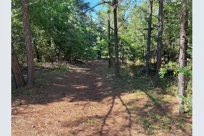 450 Vz County Road 4814, Ben Wheeler, TX 75754 - Photo 6