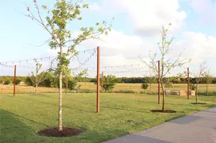 912 Alton Dr, Aubrey, TX 76227 - Photo 24