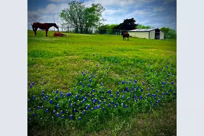 810 Cody Road, Ennis, TX 75119 - Photo 30